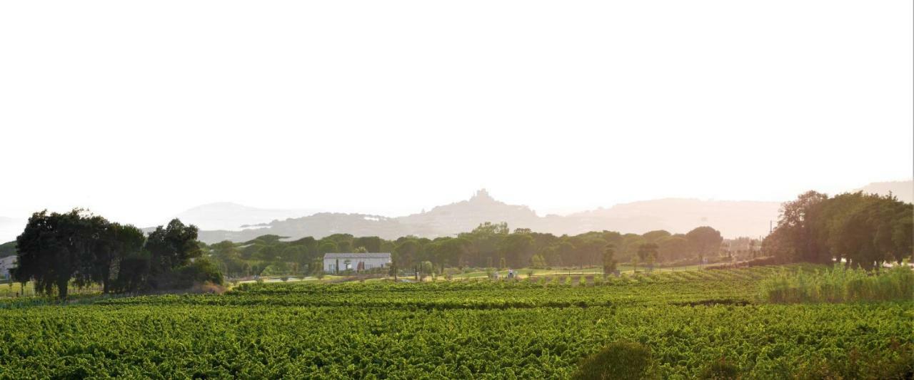 La Pinede Camping غريمو المظهر الخارجي الصورة